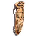 MA 01734 B Cerf V1