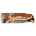 MA 01742 B Renard H1