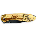 MA 143069 Chien H1
