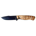 MA 143080 - 2E Cerf H1