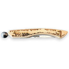 FA 358812 Chasse ctx rotosphère