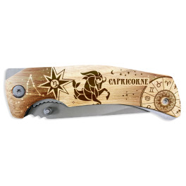 MA 01663 Capricorne H1