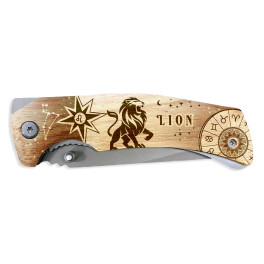 MA 01663 Lion H1