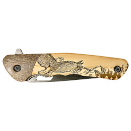 MA01740A Aigle H1