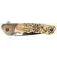 MA01740A Rose des vents H1